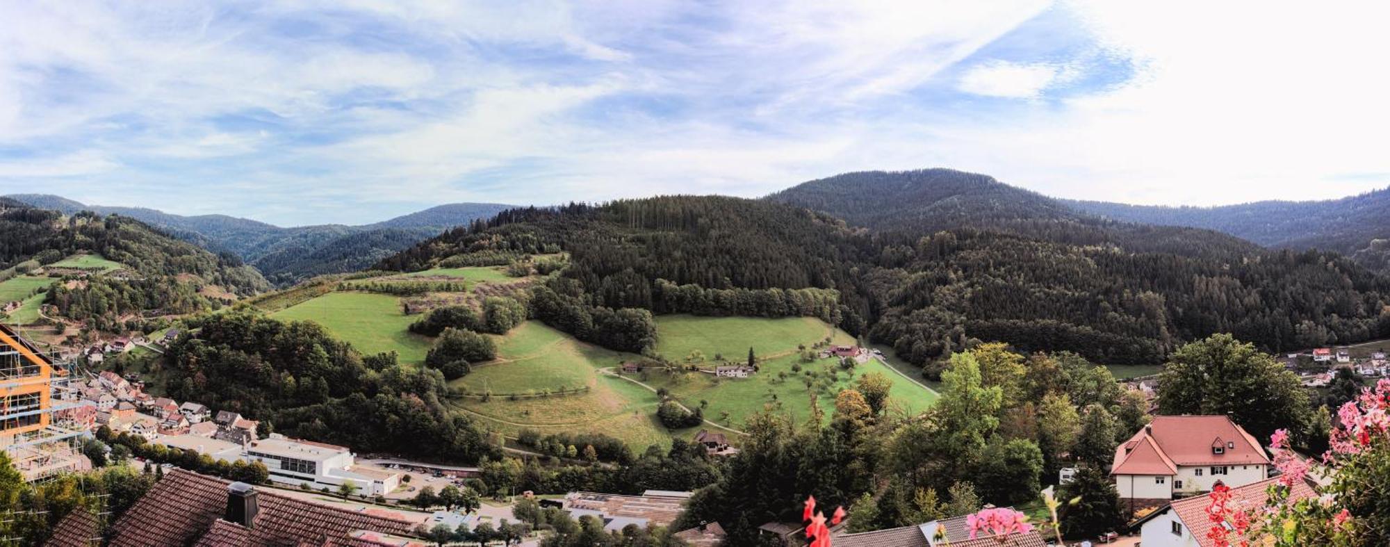 Hotel Schauinsland Bad Peterstal-Griesbach Esterno foto
