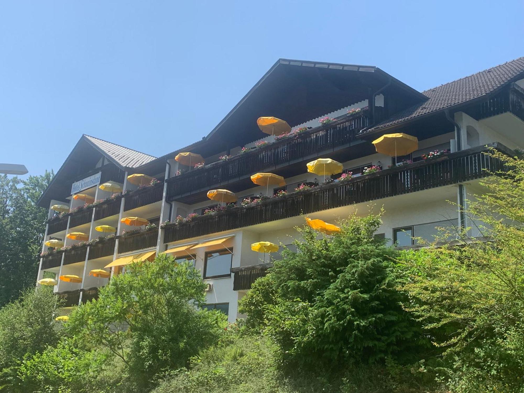 Hotel Schauinsland Bad Peterstal-Griesbach Esterno foto