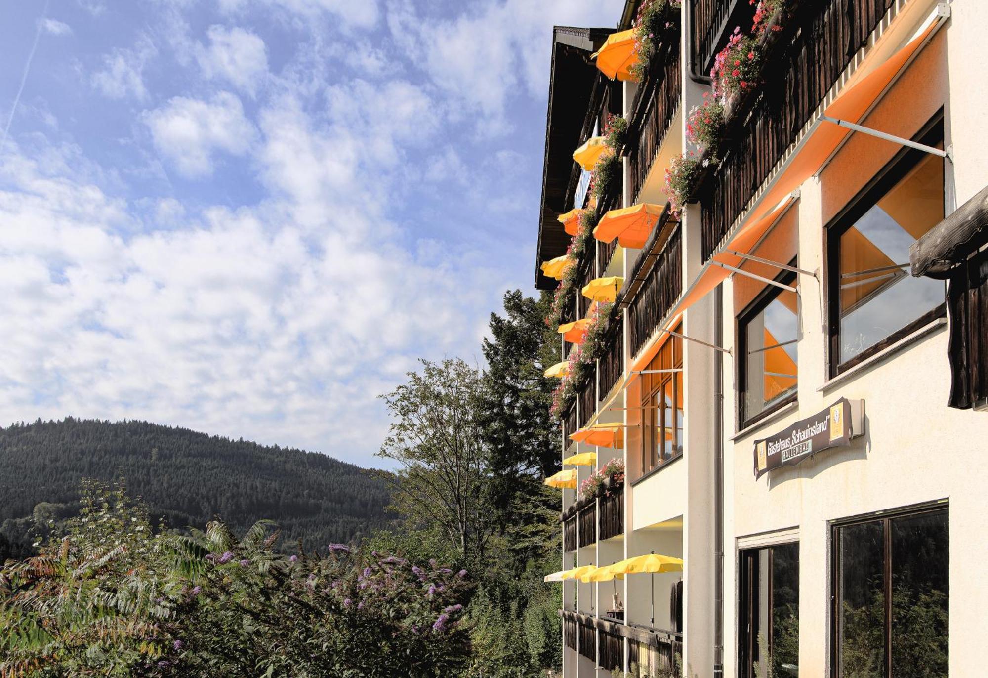 Hotel Schauinsland Bad Peterstal-Griesbach Esterno foto