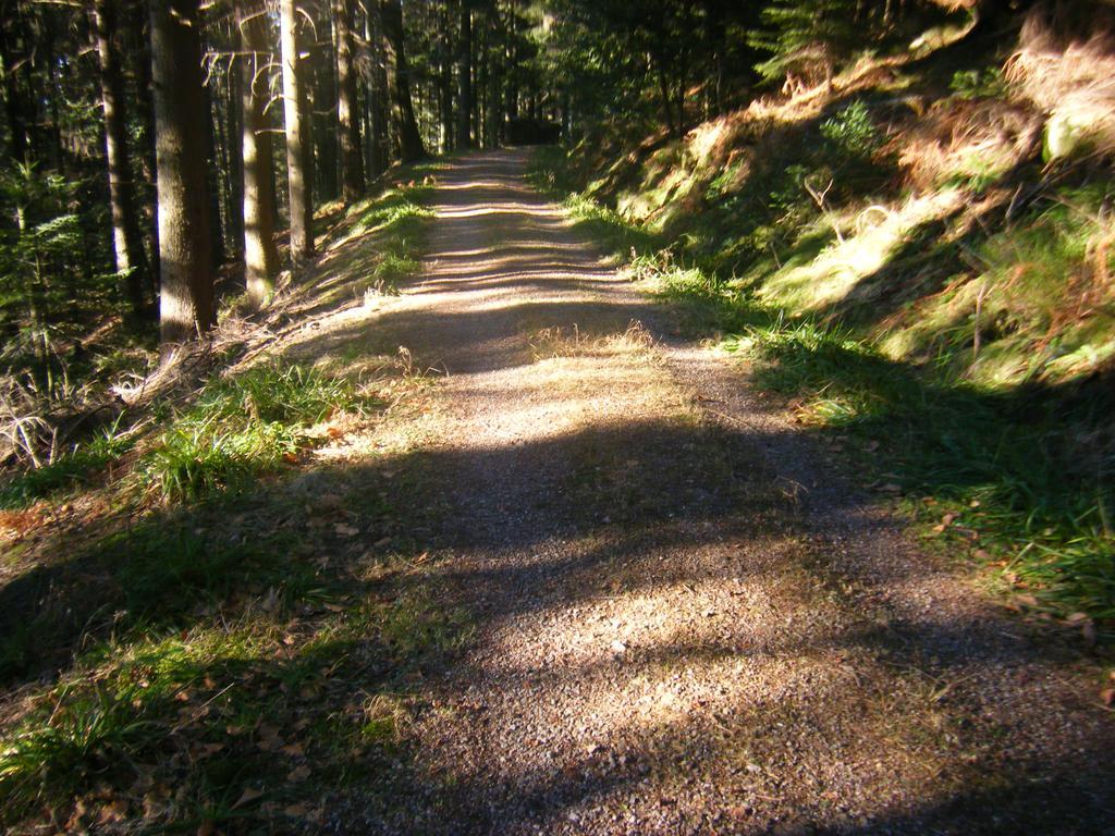 Hotel Schauinsland Bad Peterstal-Griesbach Esterno foto