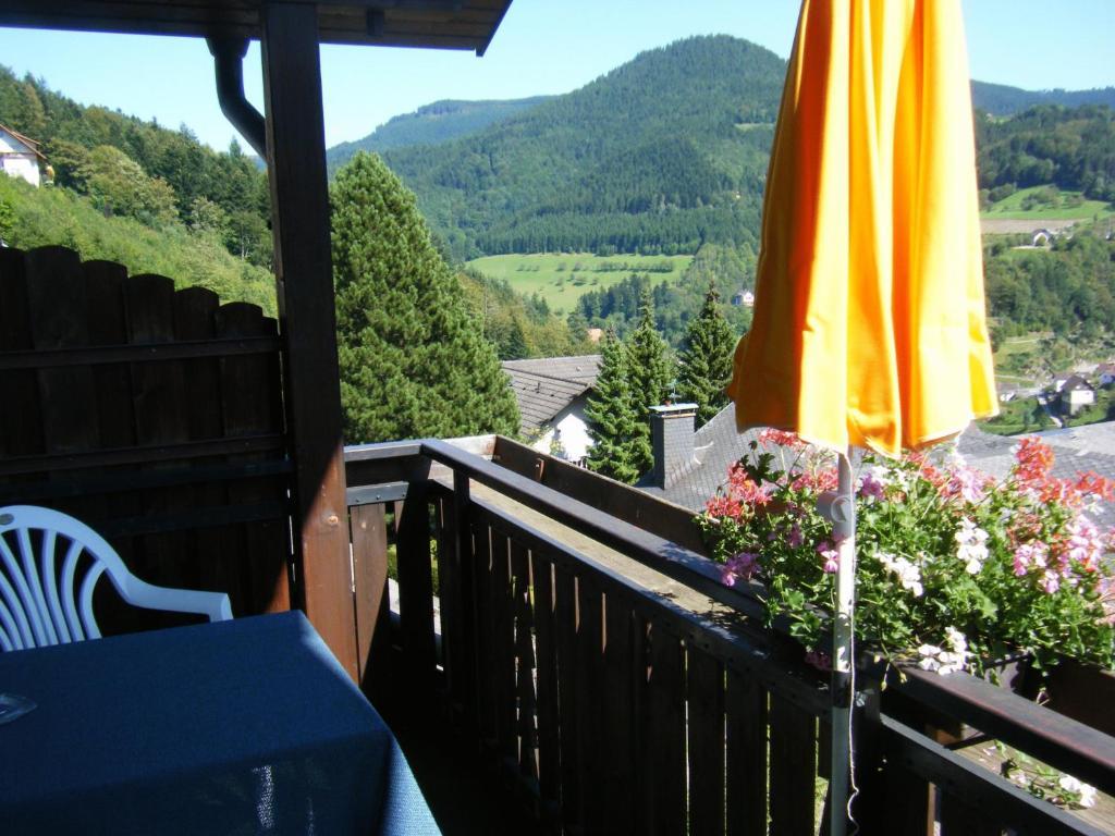 Hotel Schauinsland Bad Peterstal-Griesbach Camera foto