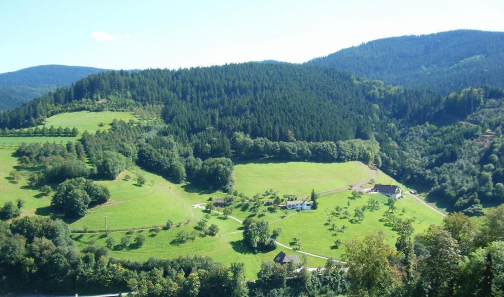 Hotel Schauinsland Bad Peterstal-Griesbach Camera foto